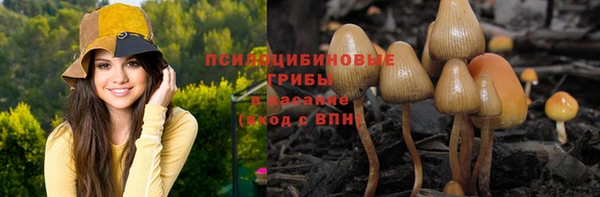 ALPHA-PVP Армянск